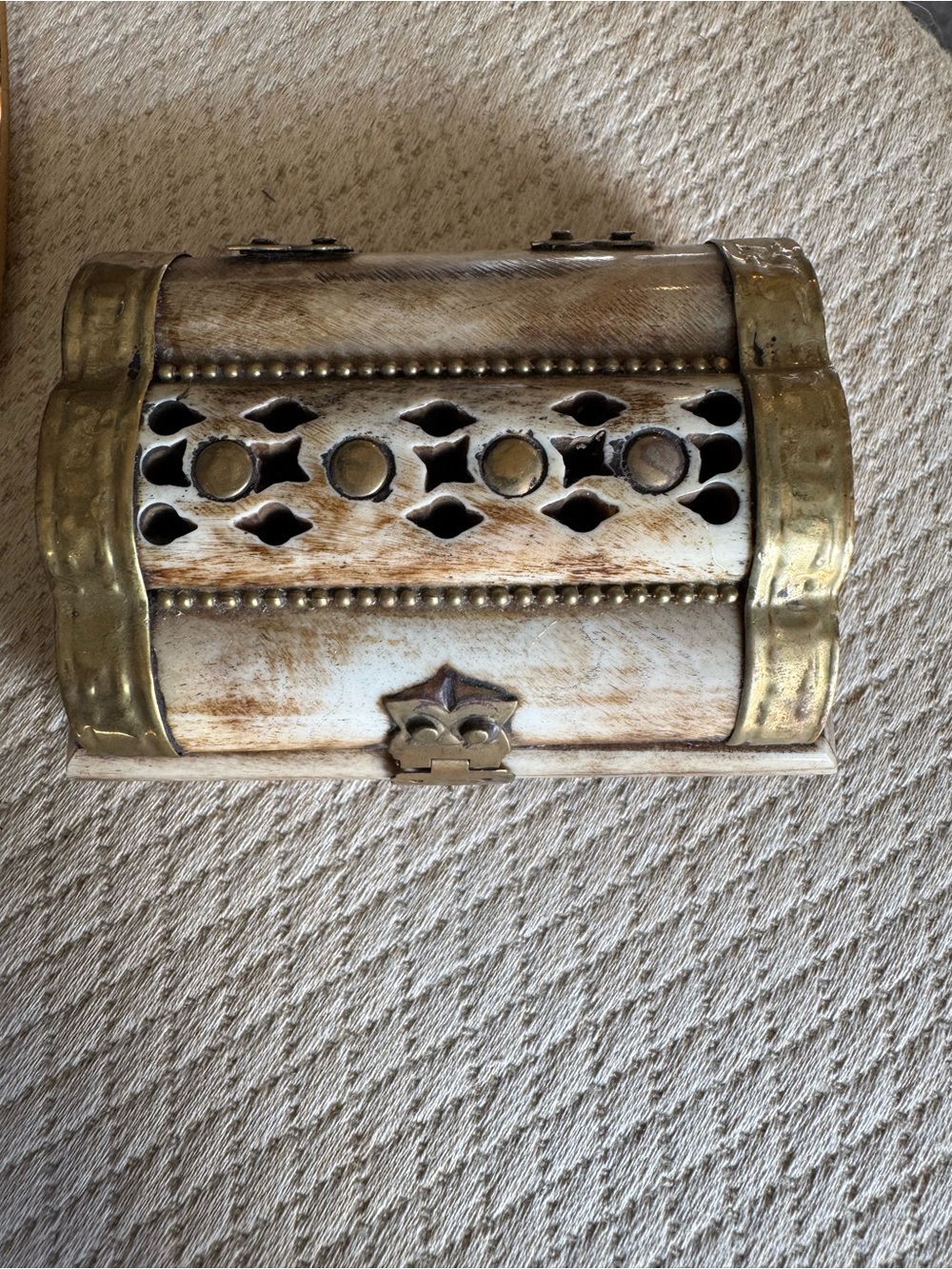 Vintage Buffalo Bone Box